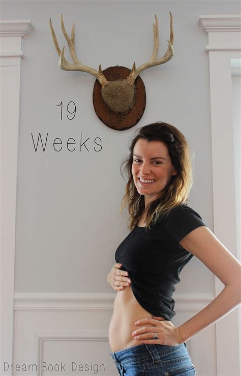 19 Weeks Pregnant Belly First Pregnancy | www.imgkid.com - The Image Kid Has It!