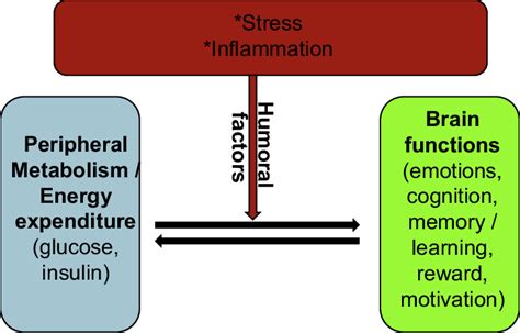 Role of humoral factors in normal and pathological nexus between... | Download Scientific Diagram