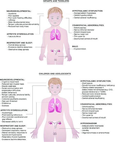 What is Prader Willi Syndrome? – AnthosHouse