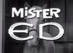 Mister Ed - Cast Images | Behind The Voice Actors