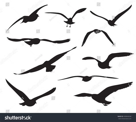 28,201 White Seagull Silhouette Images, Stock Photos & Vectors | Shutterstock