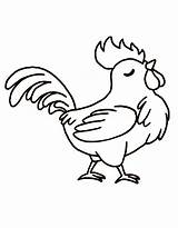 Rooster Coloring Pages Free Printable PDF sketch template