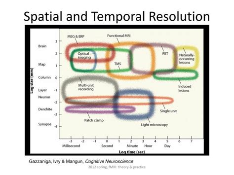 PPT - Class 3: Introduction of fMRI PowerPoint Presentation - ID:3768613