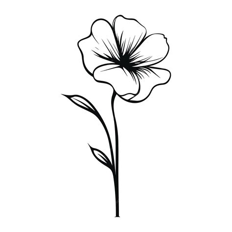 Premium Vector | Poppy flower with stem minimal vector black line art ...