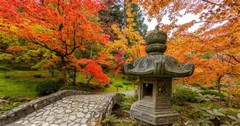 Where To Find Seattle’s Best Japanese Gardens – Home Wine Labels