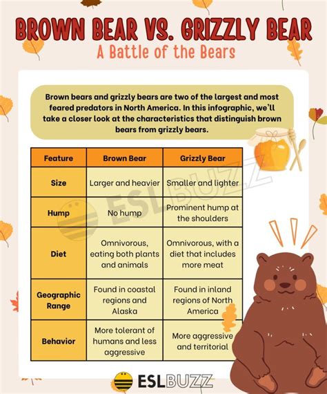 Brown Bear vs. Grizzly Bear - Which is the Ultimate Predator - ESLBUZZ