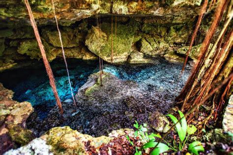 1,000+ Cenote River Stock Photos, Pictures & Royalty-Free Images - iStock