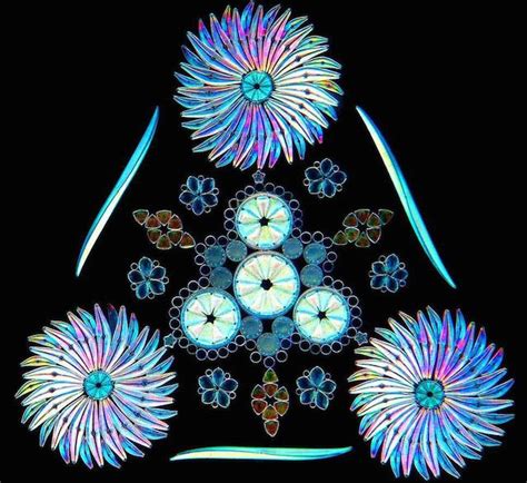 Diatoms Patterns | Quirky art, Diatom, Microscopic