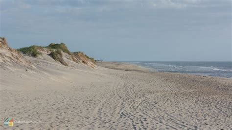 Pea Island National Wildlife Refuge - OuterBanks.com