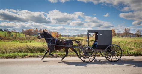 This County Is Home To The Largest Amish Community In Ohio