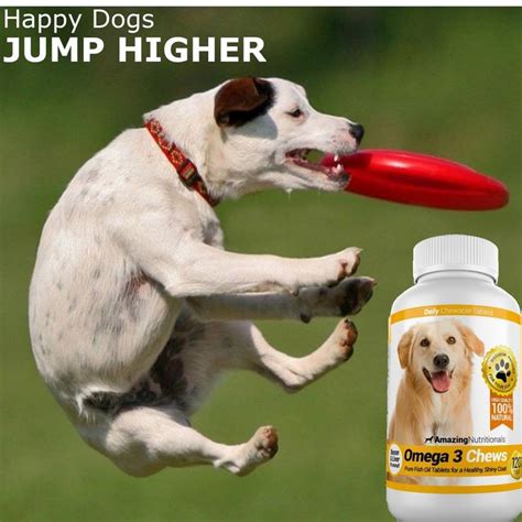 Omega 3 for Dogs - Amazing Nutritionals