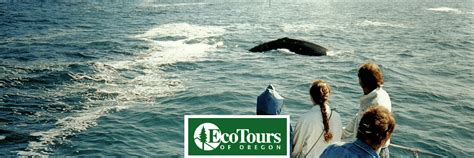 Whale Watching Tour - Oregon - EcoTours of Oregon | Whale watching tours, Winery tours, Ecotourism