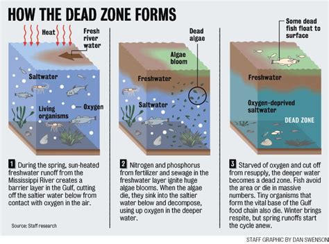 Fixing the World's Dead Zones | National Biodiversity Teach-in | The dead zone, Rain garden ...