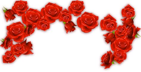 Red Wine Rosxe9 Rose - Red Rose Border png download - 1500*767 - Free ...