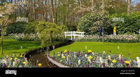 Tulips in Keukenhof gardens Stock Photo - Alamy