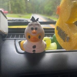 Duck Duck for Jeep Owners Kit 100 Ducks 100 Tags 100 - Etsy