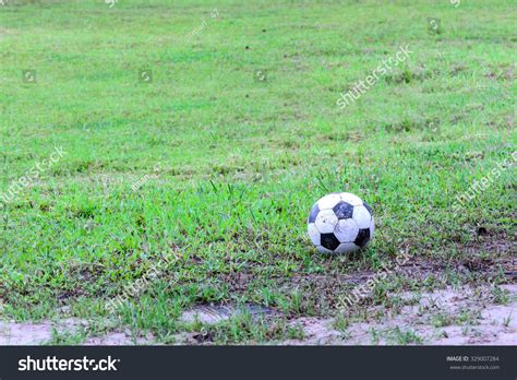 519 Muddy football field 图片、库存照片和矢量图 | Shutterstock