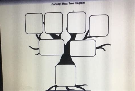 Solved Concept Map: Tree Diagram Use this diagram to write | Chegg.com