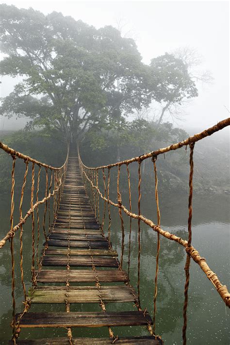 Jungle Journey 2 Photograph by Skip Nall