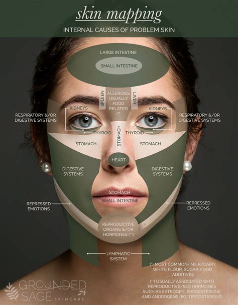 Skin Mapping Chart - Pinpoint Internal Causes of Problem Skin - Grounded Sage Acne Breakout ...