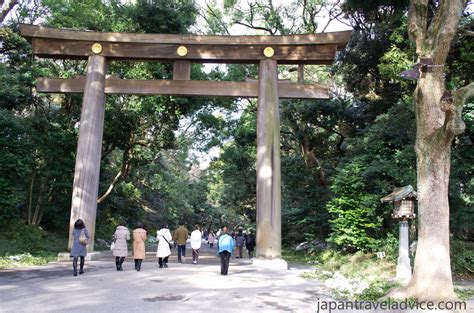 Meiji Jingu Shrine | Japan Travel Advice