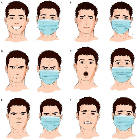 Frontiers | Effect of Face Masks on Interpersonal Communication During the COVID-19 Pandemic