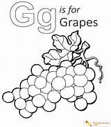 Grape Coloring Pages sketch template