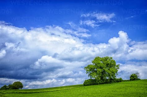 Fields landscape with cloudy sky stock photo