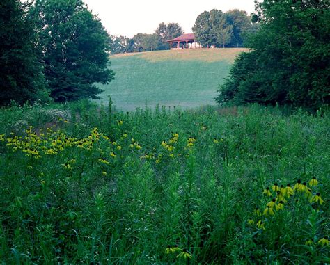 Cherokee Park - Olmsted Parks Conservancy