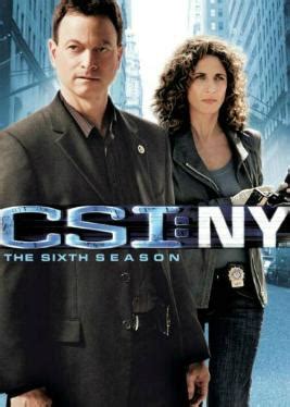 CSI: NY season 6 - Wikipedia