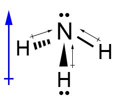 Explain how to determine the molecular polarity from a Lewis dot structure of NH_{3}. | Study.com