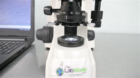 Fisher Scientific Microscope - The Lab World Group