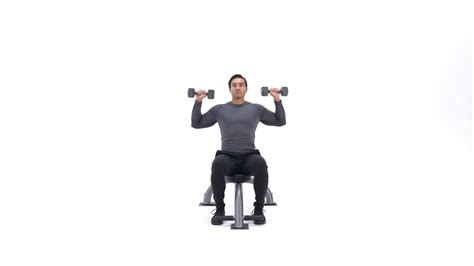 Seated dumbbell shoulder press | Exercise Videos & Guides | Bodybuilding.com