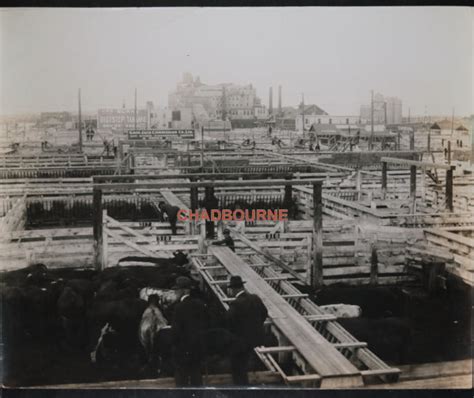 Canada Alberta large photo of Calgary stockyards pre-1930 - Chadbourne Antiques & Collectibles