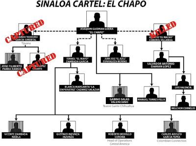 Sinaloa Cartel ~ Borderland Beat