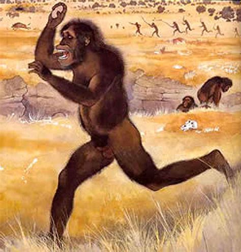 Australopithecus africanus - reconstruction by Maurice Wilson | Prehistoric man, Paleo art ...