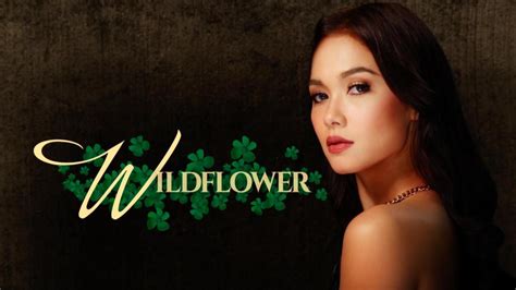 Wildflower | FranceTvPro.fr