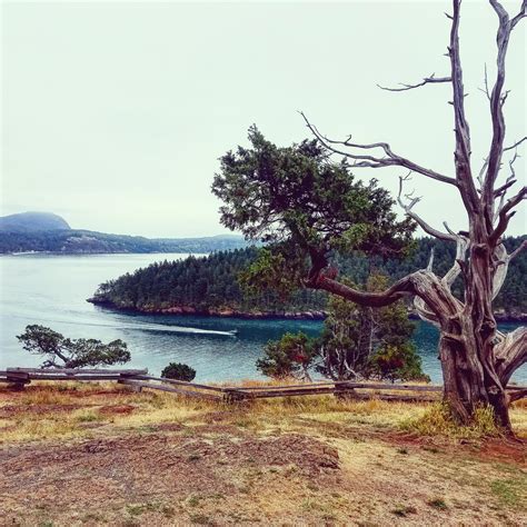 Anacortes, Wa : r/pics