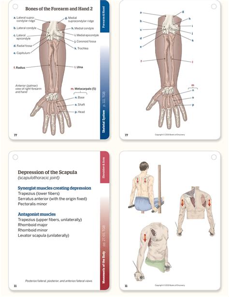 Trail Guide to the Body Flashcards, 6th Edition, Complete Set