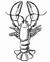 Realistic Lobster Coloring Page sketch template