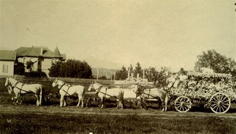 Pasadena Rose Parade Photographs