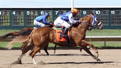 Colorado's Fastest Horses: Quarter Horses at Arapahoe Park - YouTube