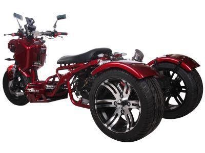 Mad Dog 50cc Trike - Three Wheeler Trike | MotoBuys