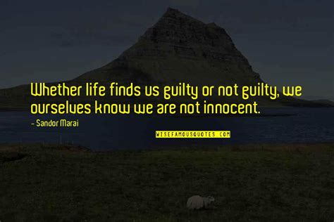 Not Guilty Quotes: top 100 famous quotes about Not Guilty