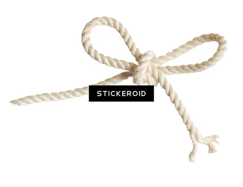 Download HD Rope - Knot Transparent PNG Image - NicePNG.com