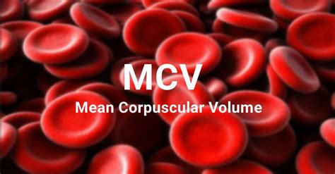 MCV Blood Test: Introduction, Normal Range, and Clinical Interpretation