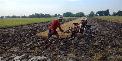 Tips Jual Beli Tanah Sawah dan Untung Rugi Investasinya - MCMProperti