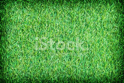 Green Artificial Turf Texture For Background Stock Photo | Royalty-Free ...