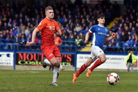 2016/17 Northern Ireland Football League team of the season revealed - Belfast Live