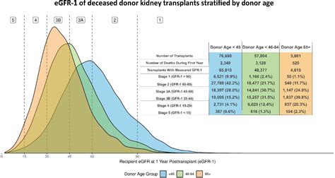 US deceased kidney transplantation: Estimated GFR, donor age and KDPI association with graft ...